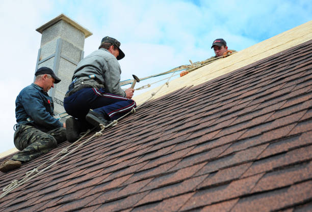Best Storm Damage Roof Repair  in Kalona, IA